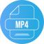 mp4